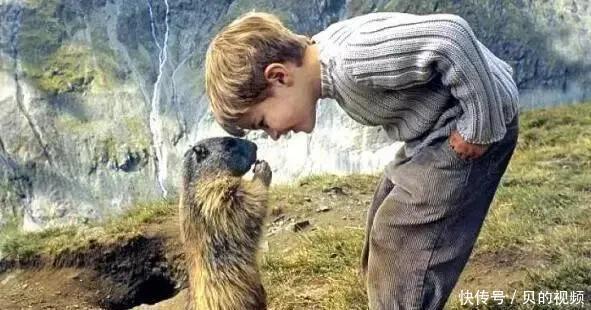 孩子|66%父母都不清楚:让孩子成为有趣的人,是父母教育更大的成功