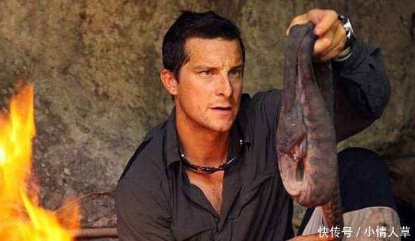 男人|食物链顶端的男人, 《荒野求生》为啥没了? 因为“贝爷”不行被解雇了