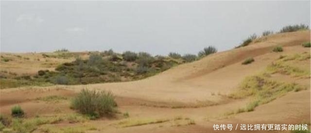 绿洲|中国一沙漠就快成为绿洲，却来了一群“祸害”，网友：全毁了！