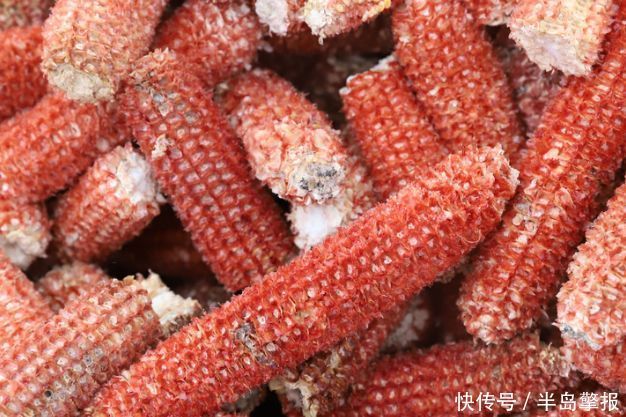 小伙|在农村随处可见的废料,河南小伙把它“变废为宝”,年赚10万