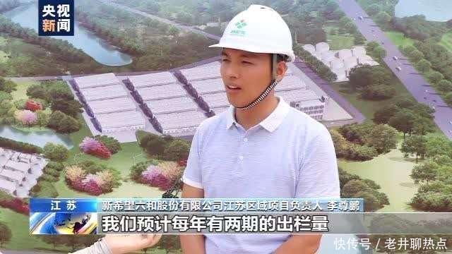 上半年|全国“菜篮子”产品供应总量充足 上半年生猪生产好于预期