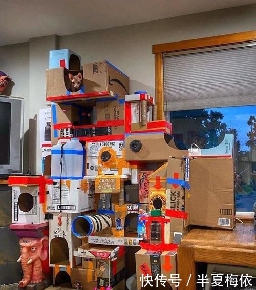 豪华|有才!外国网友用废纸箱,给喵星人打造豪华城堡