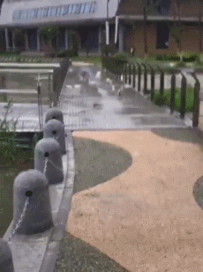 GIF|搞笑GIF：我怎么说晚上突然就黑了呢，原来是跑你这来了