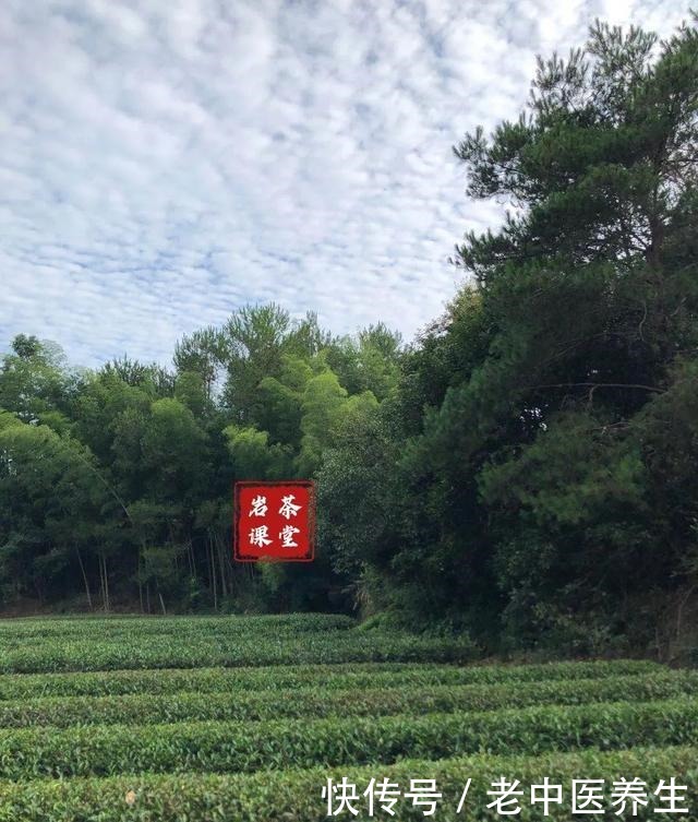 喜欢|喜欢喝武夷岩茶的你，听说过岩茶里的“倒青”吗