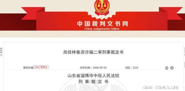 高某|2人以东平济民堂阿胶分公司名义 非法集资960余万元 高某获刑14年