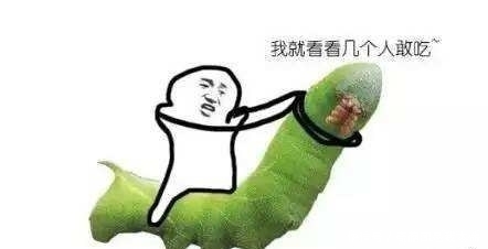 毛毛虫|毛毛虫之不可描述的美味!