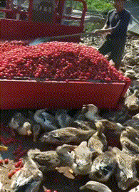 看不清楚|搞笑GIF:哎呀,不好意思,泳镜上起雾,看不清楚,我再来一次