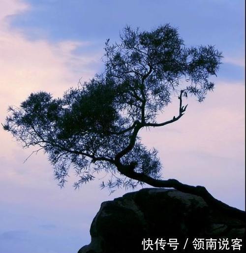 人生|人在最低谷时,也就是是人生的转折点