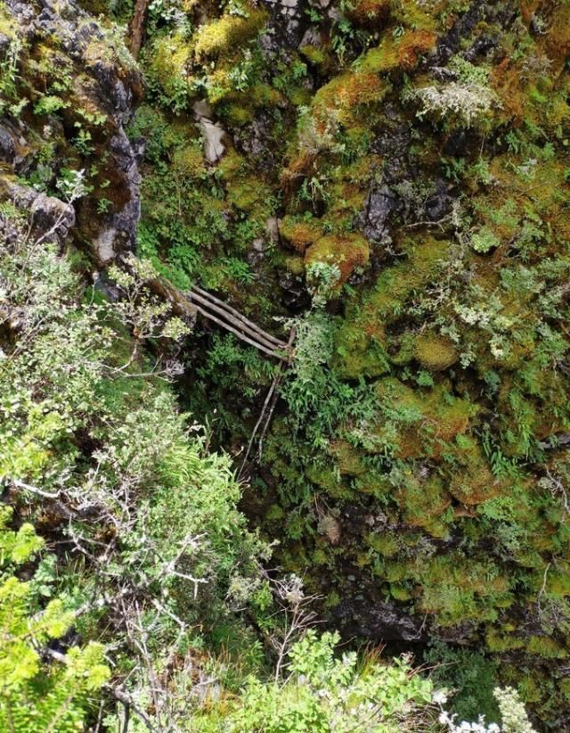 神山|无深度不云南——丽江巴拉神山徒步穿越攻略