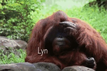 人类|黑猩猩与人类婴儿一同长大,以为自己是人类,后来变成什么样了