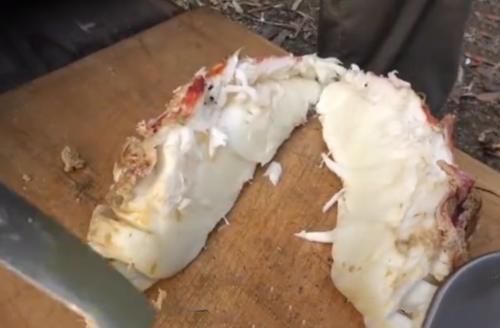 逗我|小伙上拼多多买“大虾”,20斤花了899元,切开后逗我玩呢