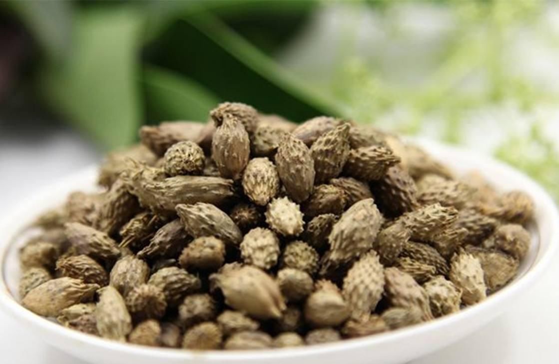 献出|献出通鼻的药茶方子思考很久,我决定不再保留