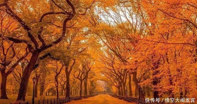 心生|曾国藩：相由心生，你的脸就是你的命