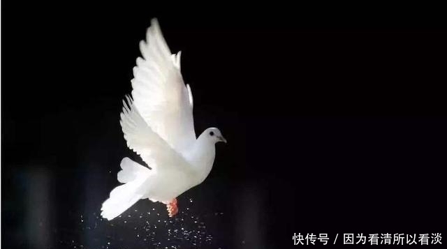 历史|从三权分立带你读懂美国历史,看完再说,这还是你们要的自由吗