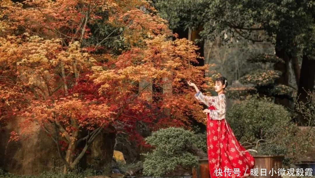 浅谈|浅谈秀丽东方IP对成都公园城市建设的借鉴作用