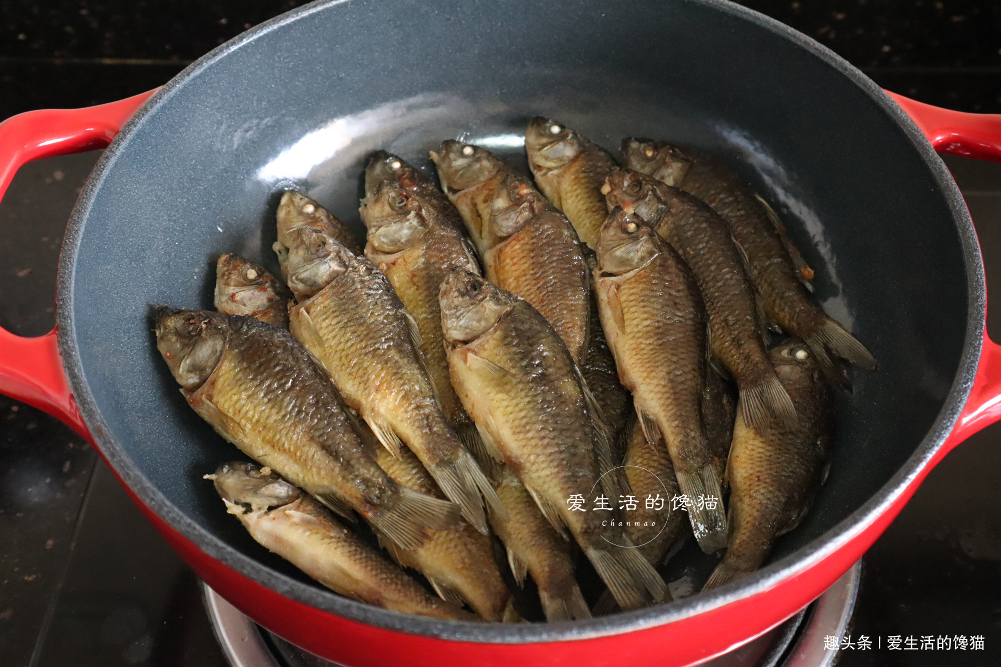 从不|碰上这鱼我从不手软,一次买3斤,焖一锅,鲜嫩美味,多吃一碗饭