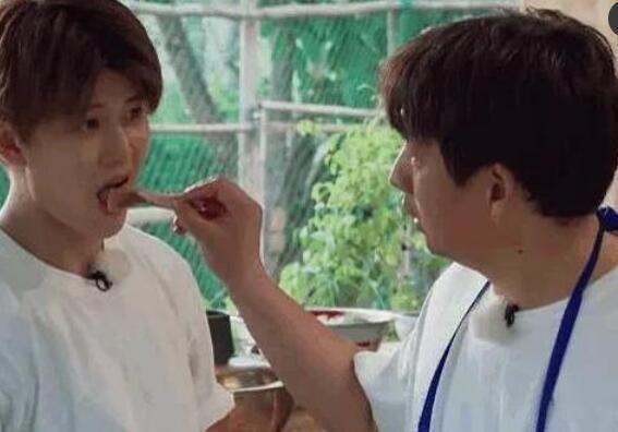 爆笑|黄磊询问任嘉伦能不能吃辣椒,九字回答全场爆笑,太逗了