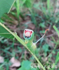  gif|搞笑gif：为了藏5元私房钱，又逼疯了一个