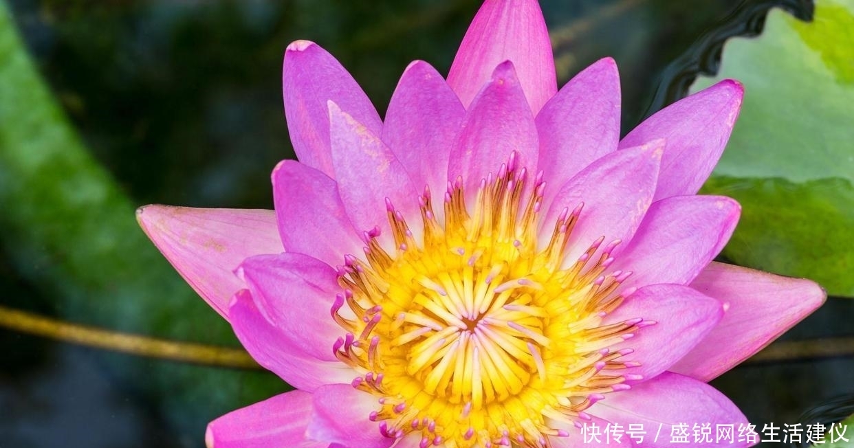  成就一番|最大气的3星座，有远见，有眼光，深谋远虑，能成大事