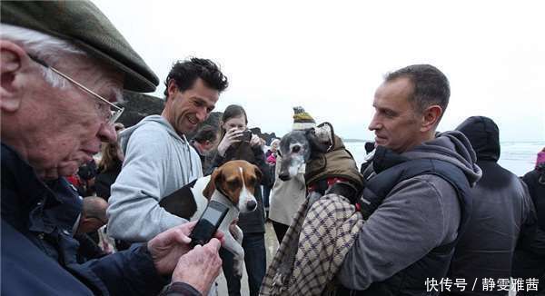  小狗|带着老小狗去海边最后一次旅行，没想到海边有数百人来了