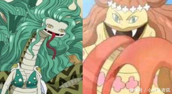 恶魔果实|海贼王尾田江郎才尽又出现一对同名果实，同样都是幻兽种果实