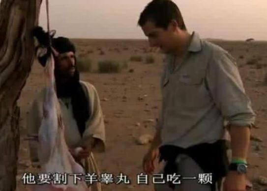  贝爷|还记得贝爷吗号称“站在食物链顶端”的男人，为何突然销声匿迹