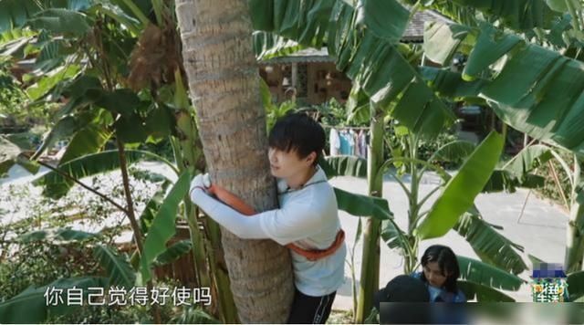  向往的生活|《向往4》的录制到底有多累看清胡先煦脖子上的肤色对比就明白