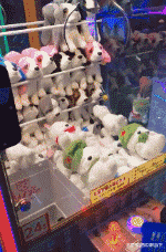 GIF|搞笑GIF:在外面抓了一只鸡,你们看是红烧好,还是清炖呢!