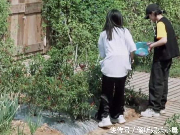 一不小心|向往4演戏痕迹太重张子枫一不小心说出实话,吓得导演都没法提醒