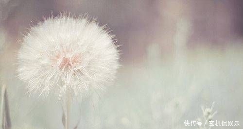  哭泣|别为失去的哭泣，为还留在你身边的一切微笑吧，你可以更幸福的