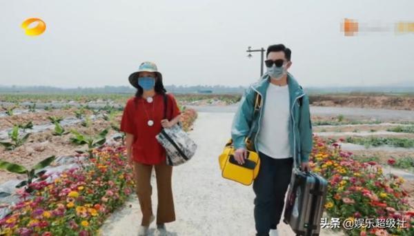  向往|《向往的生活4》收割香蕉号称四季最累，网友们都笑了