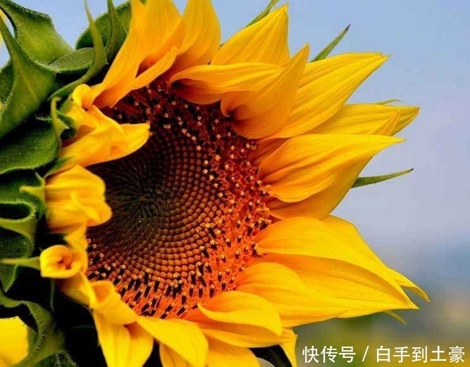 月天|算命的说，10月天降钞票雨，横财大奖接不停，3生肖车房不缺！