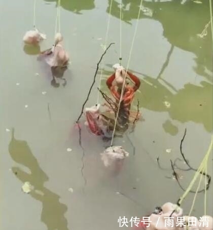 男子|男子买来3块钱猪大肠,把它扔进水里,3小时后赚了300块!