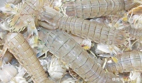上当|吃小龙虾时,可以吃虾头和虾黄吗?看完赶紧的告诉家人别上当啦!