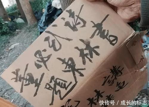 沈巍|沈巍网上直播书法,字迹力透纸背,书法堪比王羲之再世!