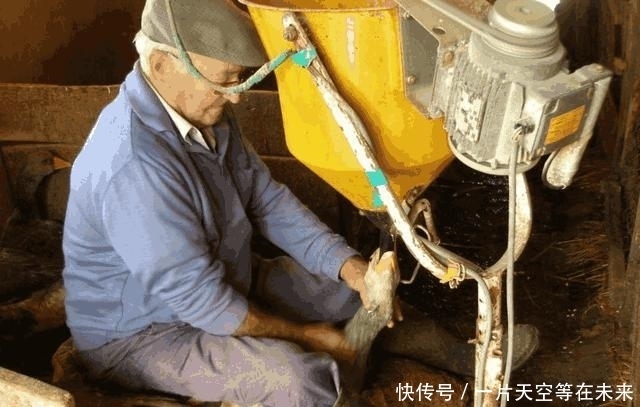 鱼子酱|镜头下世界级别的顶级食材, 很残忍却很美味, 你们吃过吗?