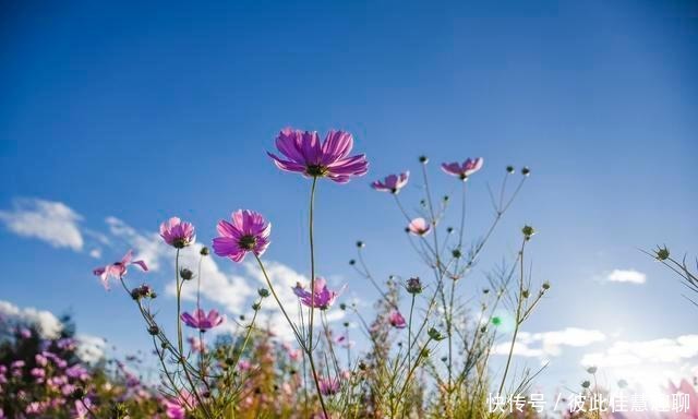 不靠|爱吹牛的人,一般都不靠谱