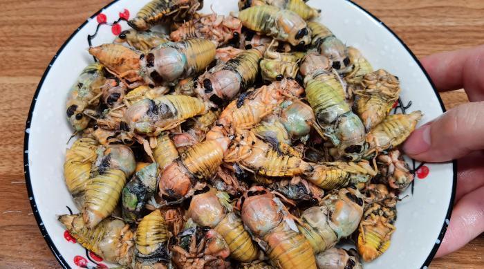  正当|立秋前，这美味抓紧吃，高营养高蛋白，现在正当季，错过再等一年