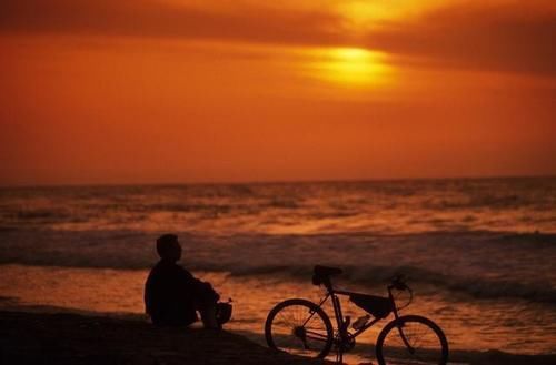 揭秘|《千与千寻》透过少女的奇幻冒险,带你揭秘现实世界的三重伤痛