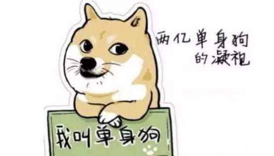 单身人|我国单身成年人口超过2.4亿人！其中有你吗？