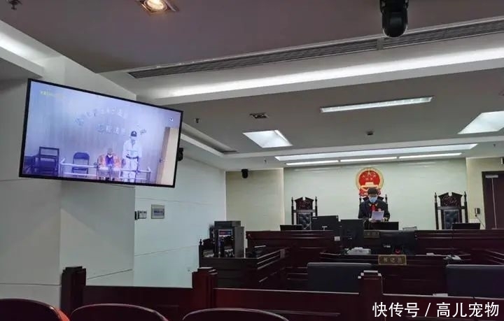 曲某|4天偷5个快递！这名研究生被判刑