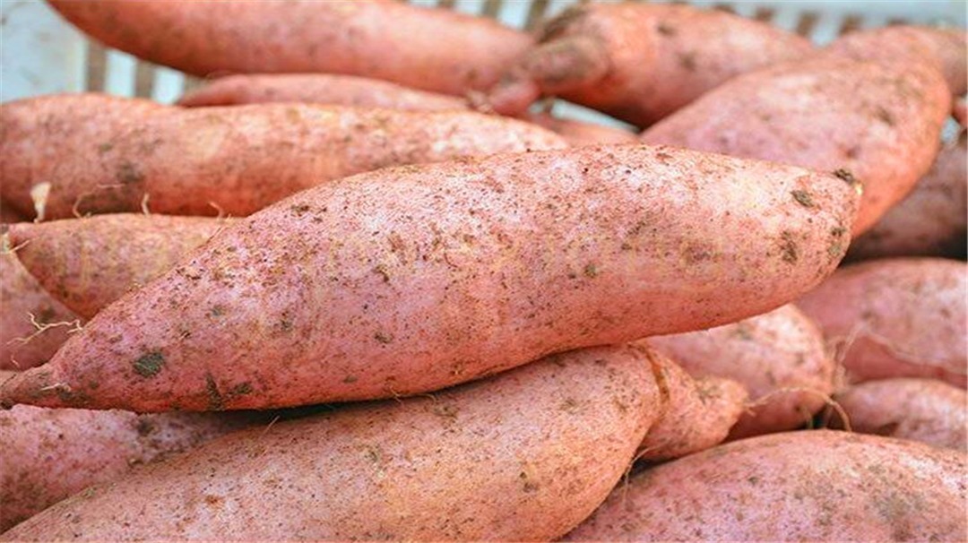 制作|红薯干的快速做法,既不用晾也不用晒,半小时能做一大锅