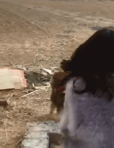  烧伤|搞笑GIF：面对烧伤的他，