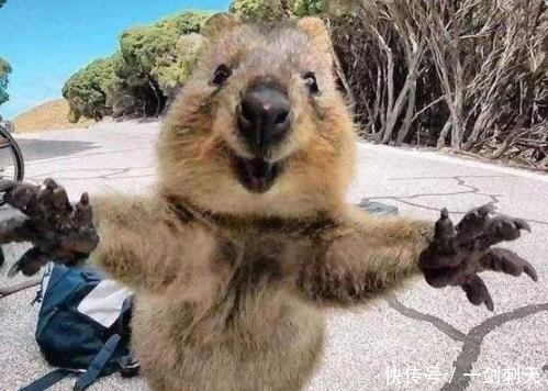 全班同学|班主任让我回家叫我爸来，然后当着全班同学的面，把我俩一起踹！