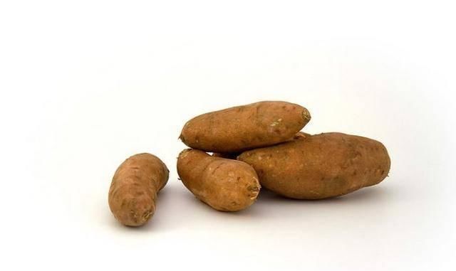 危险|十种最危险的日常食物,美味虽好也要多加小心