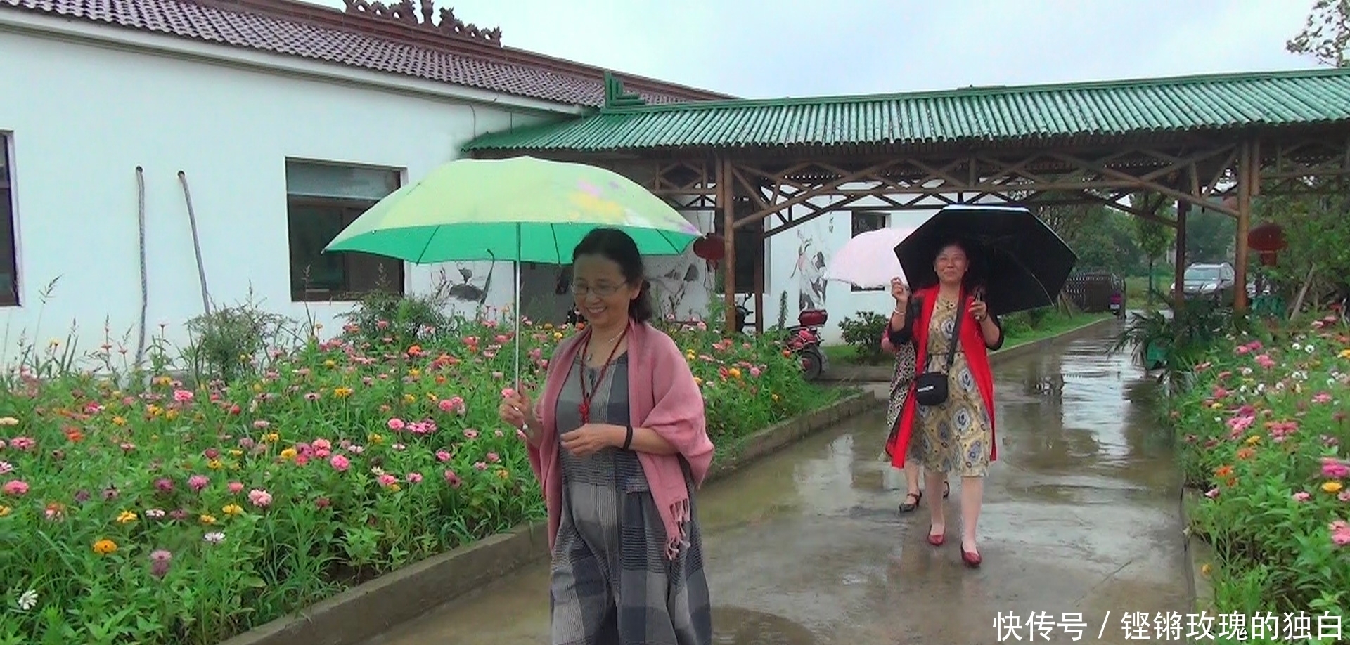 八中|马鞍山八中74届高中女生模特团:南京江宁竹庄生态园雨中走秀(音乐相册)