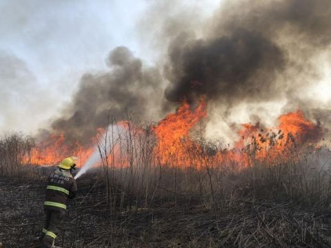  消防员|突发钱塘江边芦苇荡着火了，正在紧急扑救中