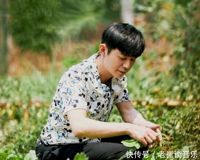 向往的生活|何炅将剩牛奶递给张子枫喝,她接过牛奶的反应亮了,暴露真实性格