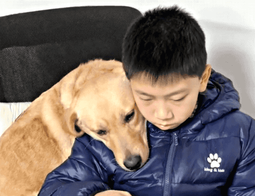  打开|狗狗突然没了动静，打开儿子房间看到这一幕笑喷了，狗头军师吗