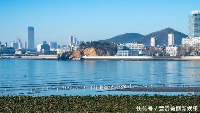 看过|看过太多的海,仍为这座“北方明珠”着迷